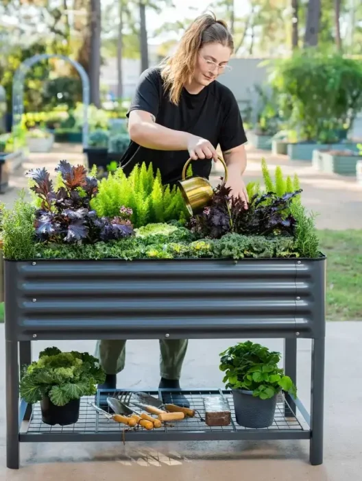 A woman waters plants in a raised metal garden bed, surrounded by gardening tools and potted herbs, in an outdoor garden setting.
